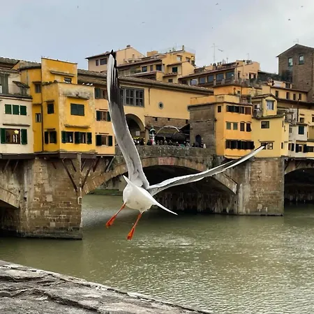 Modern Apartments In The Heart Of Florence-3